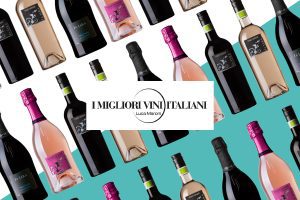 I nostri vini degustati da Luca Maroni